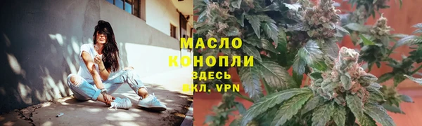 сатива Наволоки