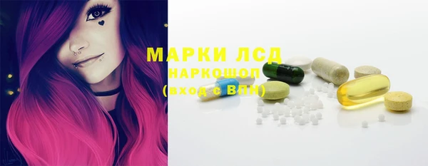 СК Надым