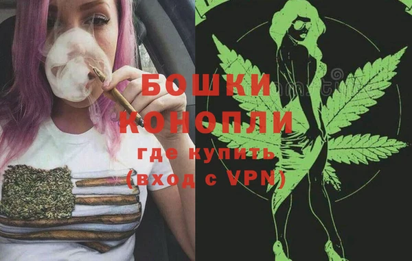 сатива Наволоки