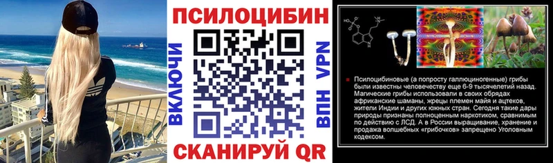 Псилоцибиновые грибы ЛСД  дарнет шоп  Заозёрный 